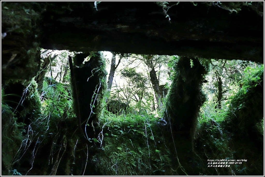 太平山見晴懷古步道-2022-07-72.jpg 太平山見晴懷古步道-2022-07-72.jpg