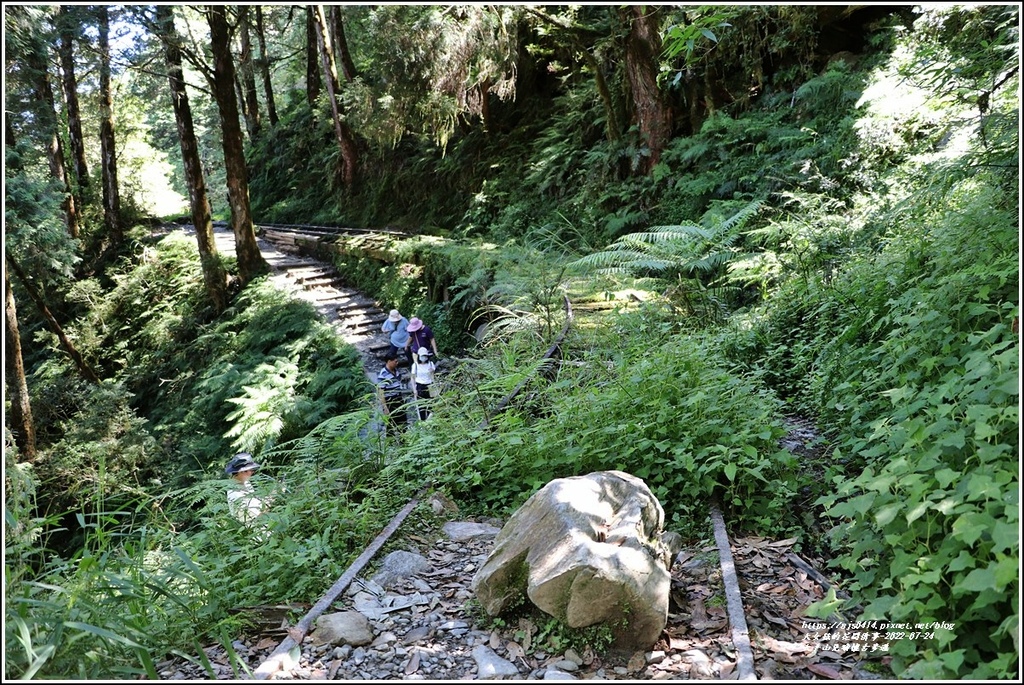 太平山見晴懷古步道-2022-07-76.jpg