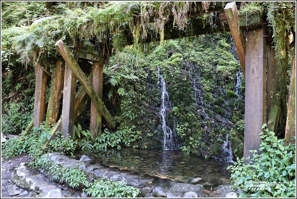 太平山見晴懷古步道-2022-07-74.jpg 太平山見晴懷古步道-2022-07-74.jpg