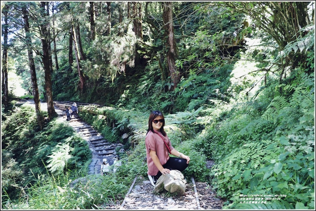 太平山見晴懷古步道-2022-07-78.jpg 太平山見晴懷古步道-2022-07-78.jpg