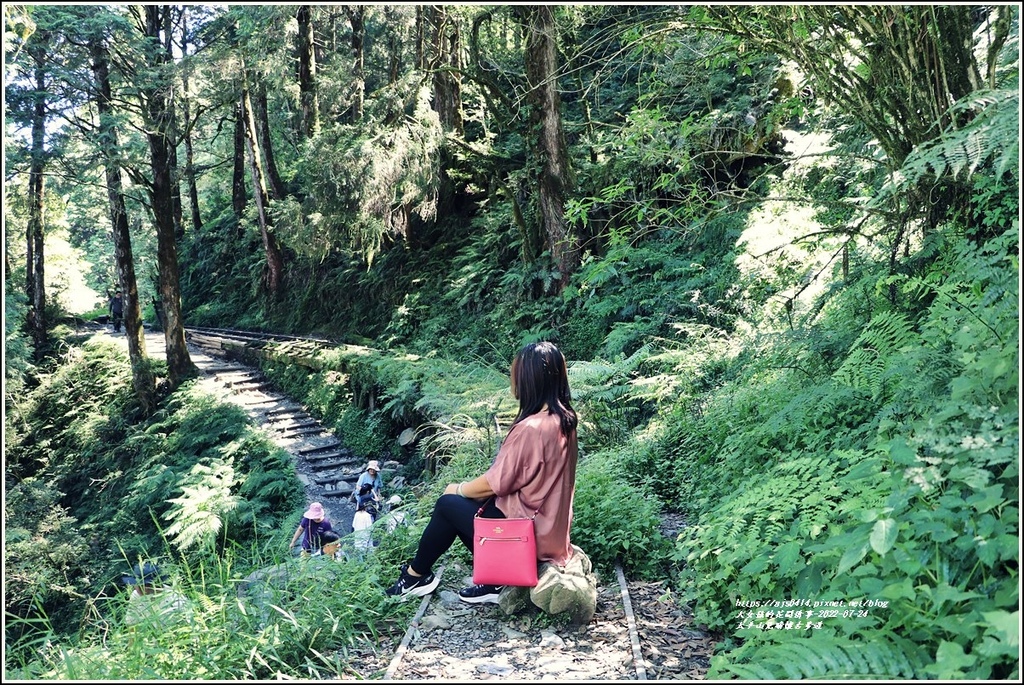 太平山,見晴懷古步道,觀雲棧道,翠峰湖,宜蘭,林田山,雪山山脈,步道,健行,太平山步道