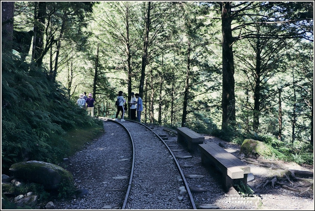 太平山見晴懷古步道-2022-07-82.jpg 太平山見晴懷古步道-2022-07-82.jpg