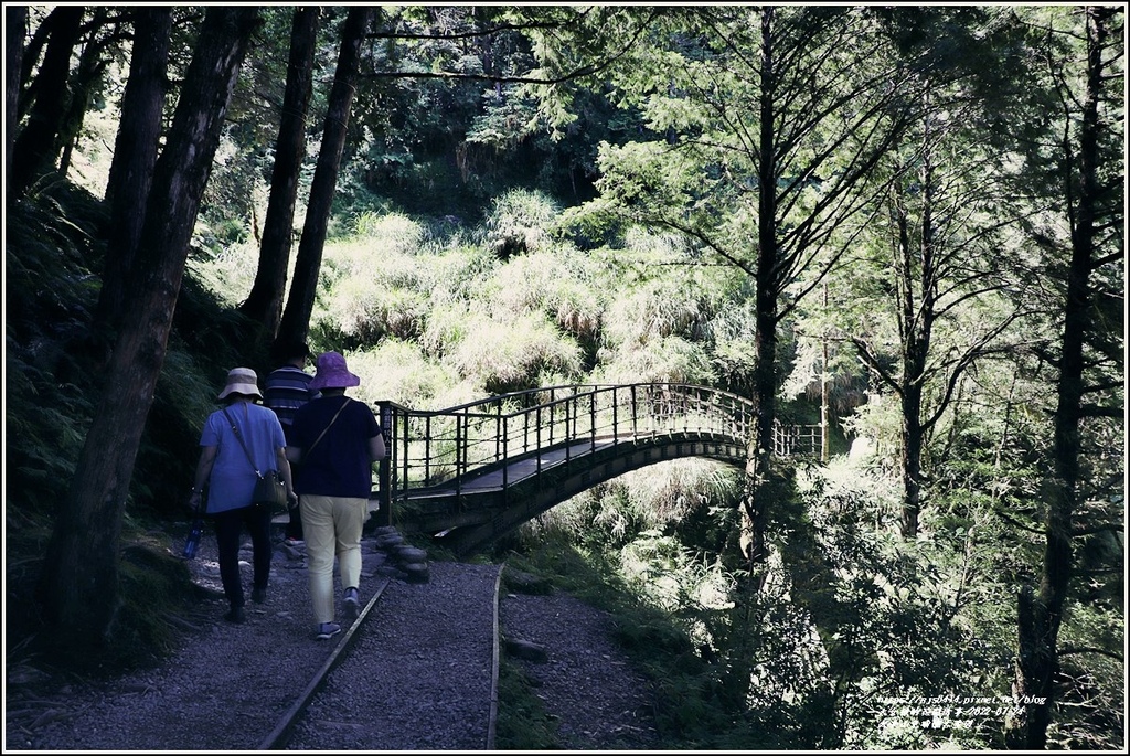 太平山見晴懷古步道-2022-07-83.jpg 太平山見晴懷古步道-2022-07-83.jpg