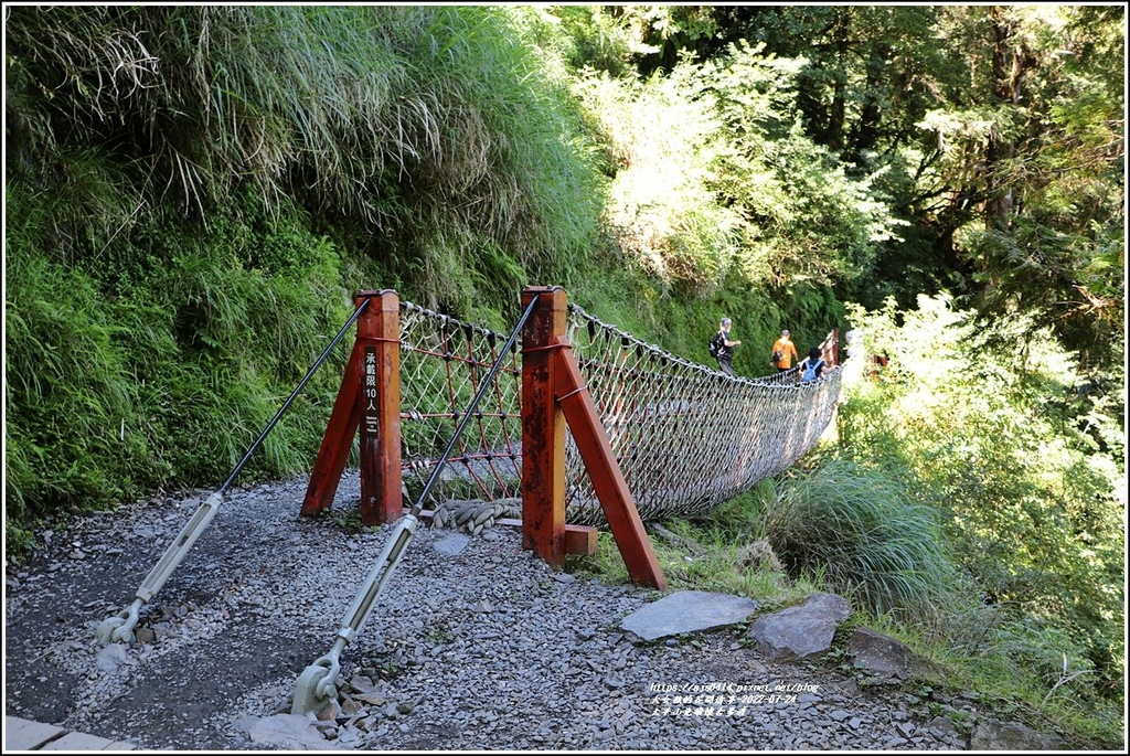 太平山見晴懷古步道-2022-07-88.jpg 太平山見晴懷古步道-2022-07-88.jpg