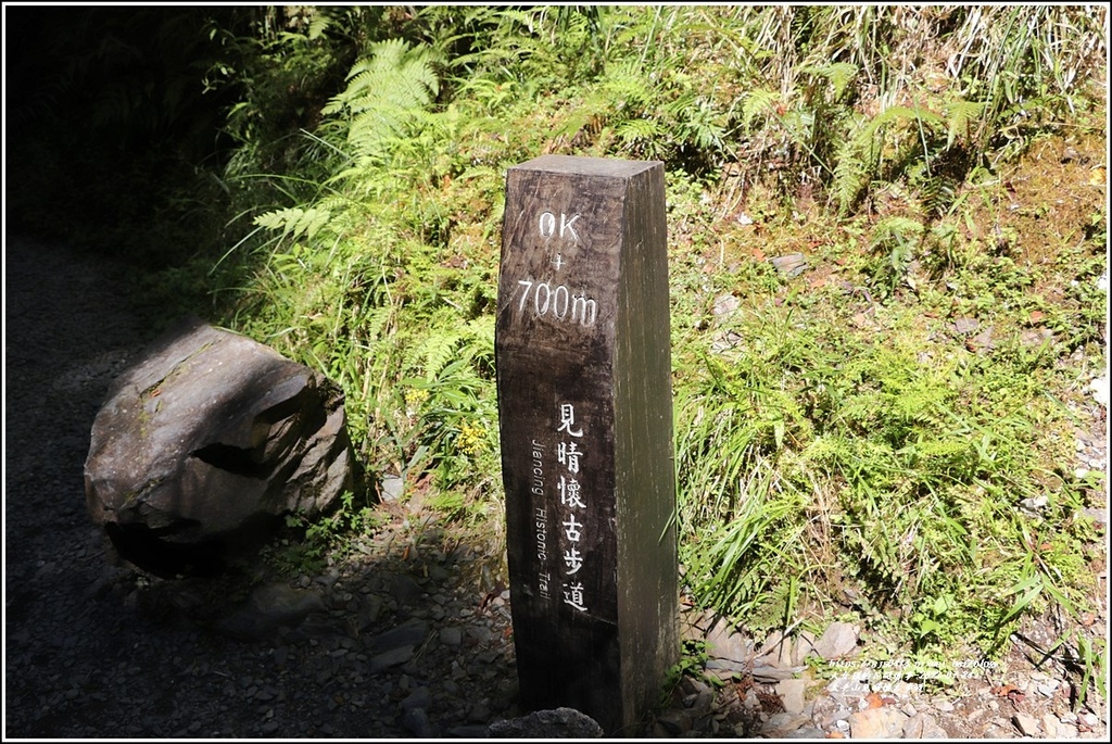 太平山見晴懷古步道-2022-07-87.jpg 太平山見晴懷古步道-2022-07-87.jpg