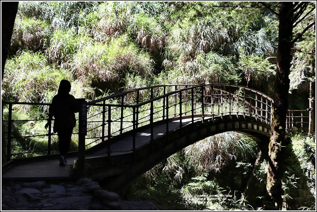 太平山見晴懷古步道-2022-07-85.jpg 太平山見晴懷古步道-2022-07-85.jpg