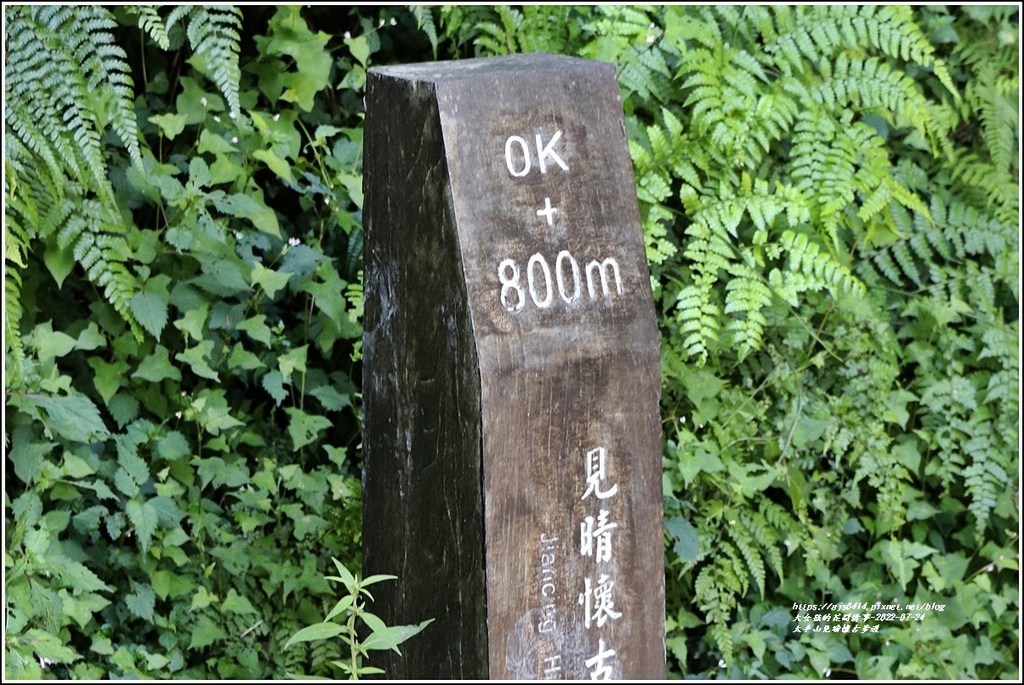 太平山見晴懷古步道-2022-07-91.jpg 太平山見晴懷古步道-2022-07-91.jpg