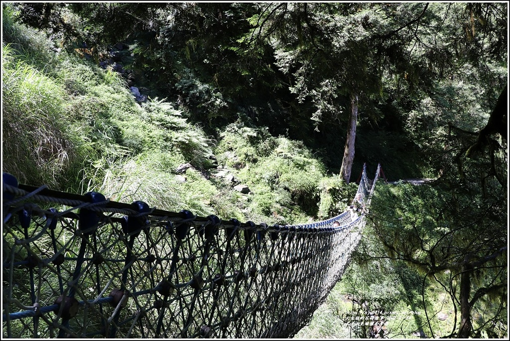 太平山見晴懷古步道-2022-07-92.jpg