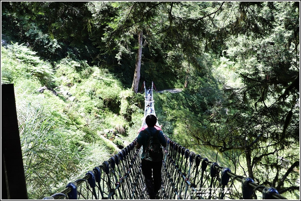 太平山見晴懷古步道-2022-07-93.jpg 太平山見晴懷古步道-2022-07-93.jpg