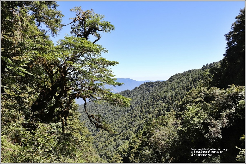 太平山見晴懷古步道-2022-07-95.jpg 太平山見晴懷古步道-2022-07-95.jpg