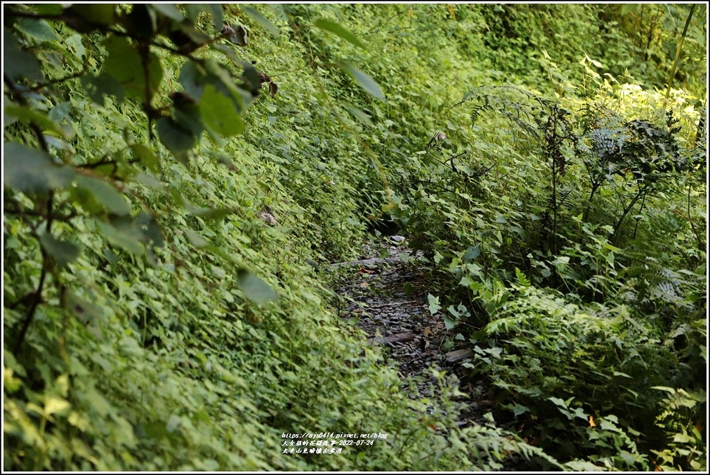 太平山見晴懷古步道-2022-07-99.jpg 太平山見晴懷古步道-2022-07-99.jpg