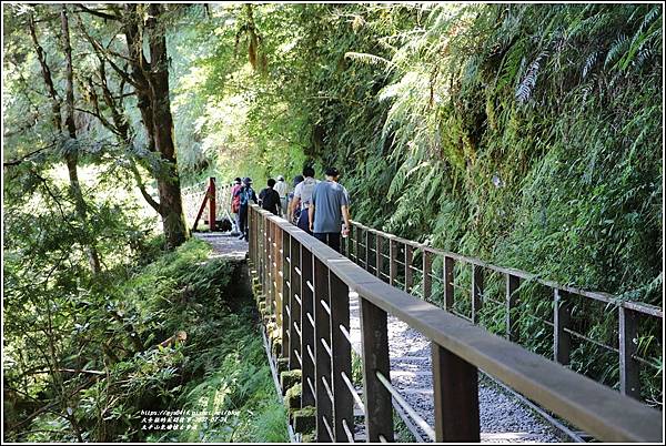 太平山見晴懷古步道-2022-07-104.jpg