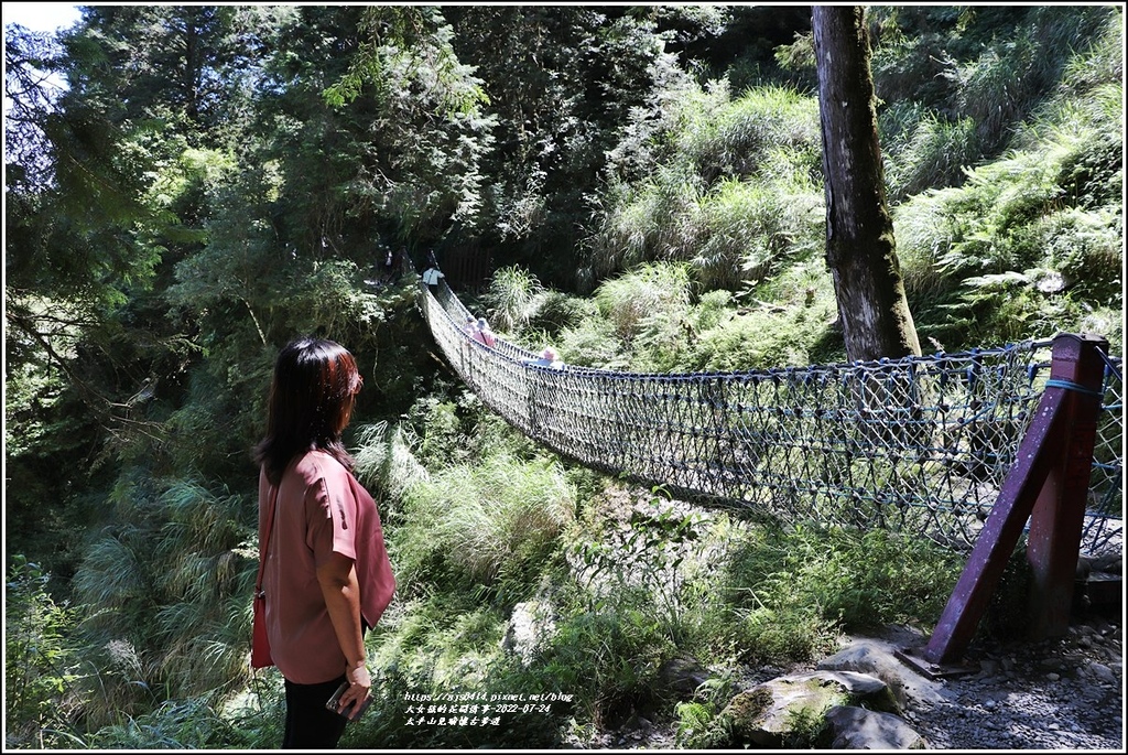 太平山見晴懷古步道-2022-07-102.jpg 太平山見晴懷古步道-2022-07-102.jpg