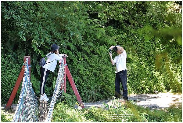 太平山見晴懷古步道-2022-07-103.jpg