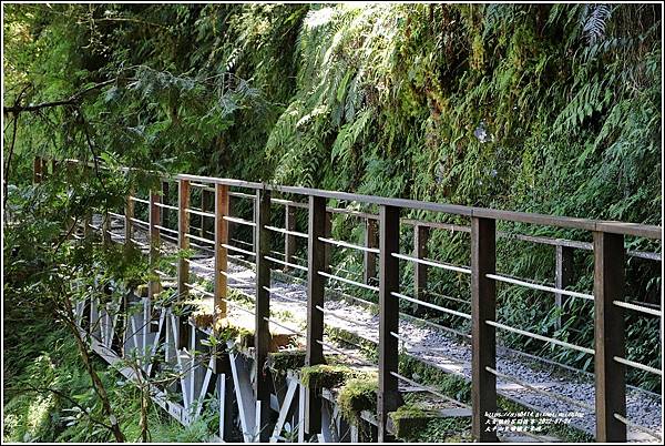 太平山見晴懷古步道-2022-07-105.jpg