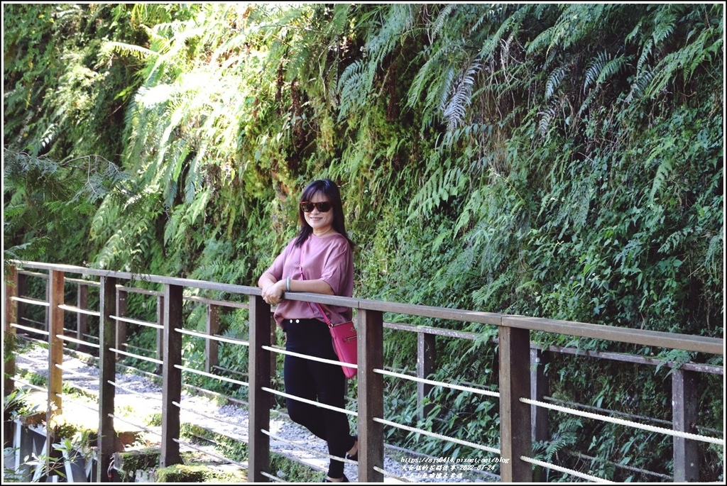 太平山見晴懷古步道-2022-07-106.jpg 太平山見晴懷古步道-2022-07-106.jpg