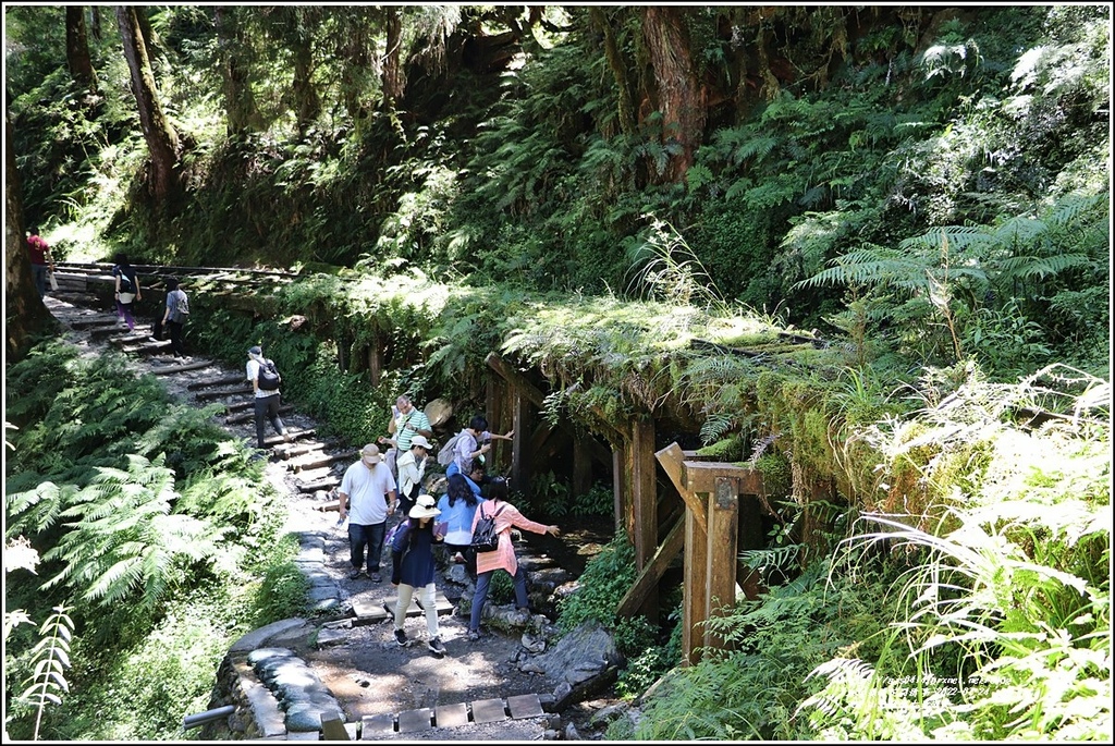 太平山見晴懷古步道-2022-07-113.jpg 太平山見晴懷古步道-2022-07-113.jpg