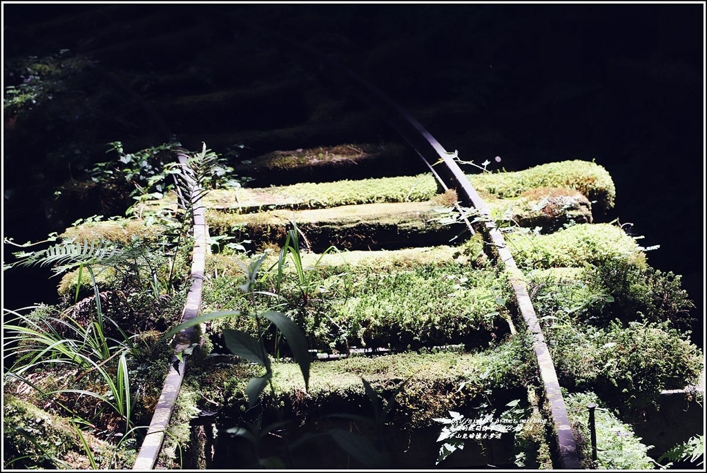 太平山見晴懷古步道-2022-07-118.jpg 太平山見晴懷古步道-2022-07-118.jpg