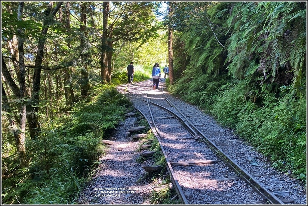 太平山見晴懷古步道-2022-07-120.jpg