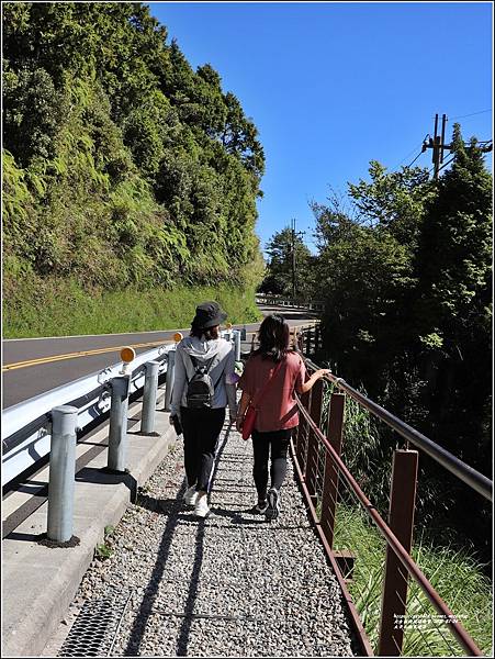 太平山觀雲棧道-2022-07-16.jpg