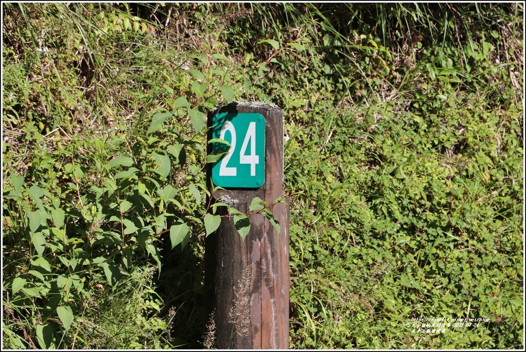 太平山觀雲棧道-2022-07-18.jpg 太平山觀雲棧道-2022-07-18.jpg