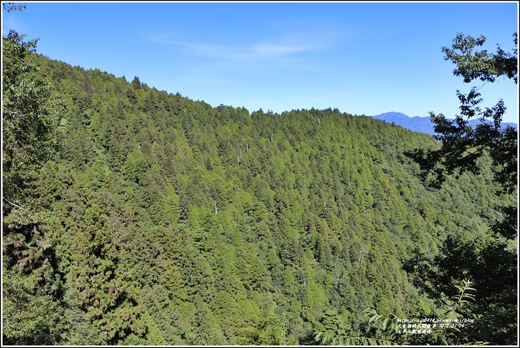 太平山觀雲棧道-2022-07-31.jpg