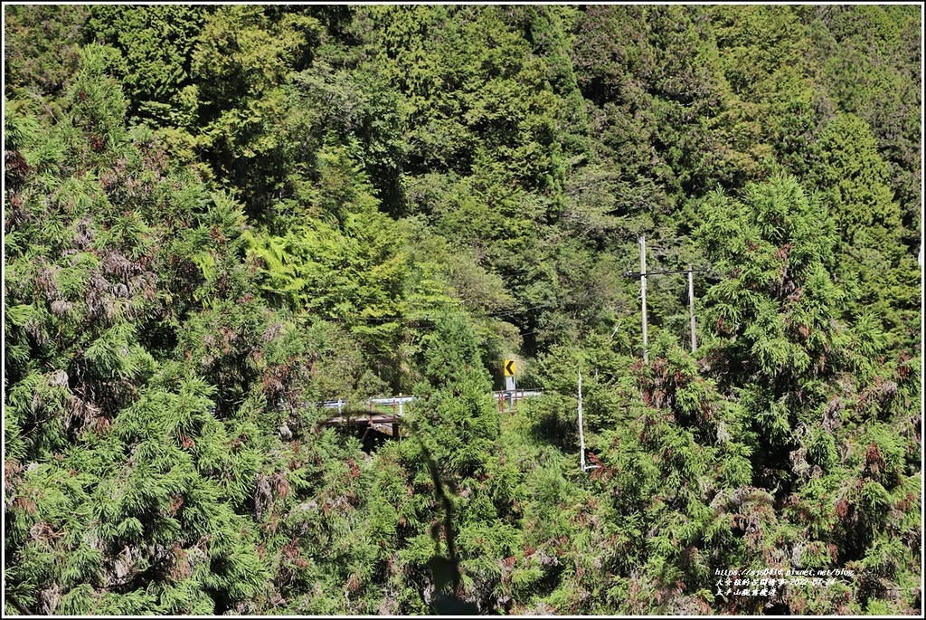 太平山觀雲棧道-2022-07-33.jpg 太平山觀雲棧道-2022-07-33.jpg