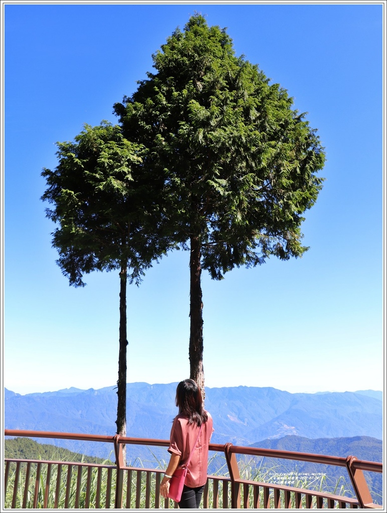 太平山觀雲棧道-2022-07-30.jpg 太平山觀雲棧道-2022-07-30.jpg