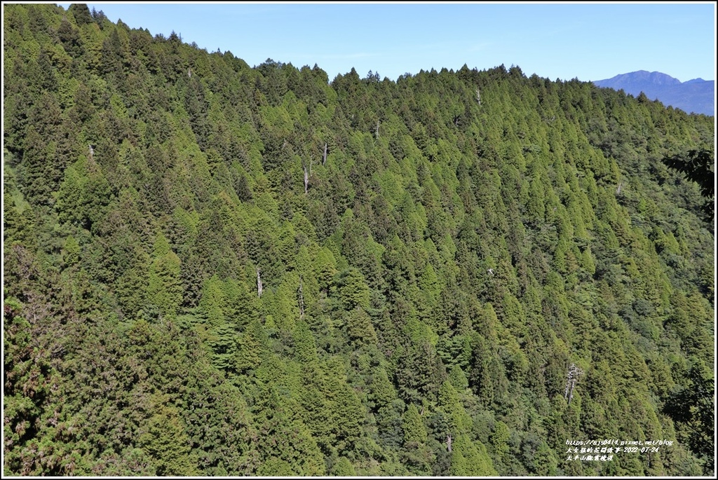 太平山觀雲棧道-2022-07-32.jpg 太平山觀雲棧道-2022-07-32.jpg