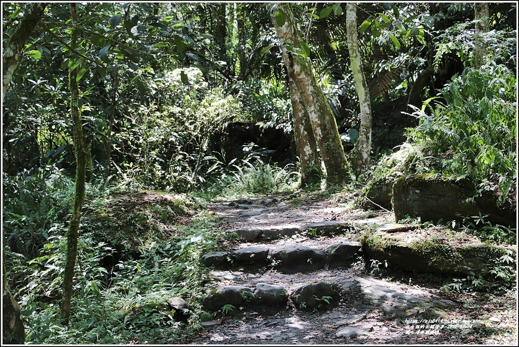 鳩之澤自然步道-2022-07-03.jpg 鳩之澤自然步道-2022-07-03.jpg