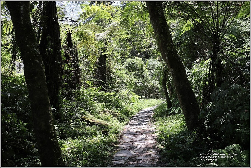 鳩之澤自然步道-2022-07-05.jpg 鳩之澤自然步道-2022-07-05.jpg