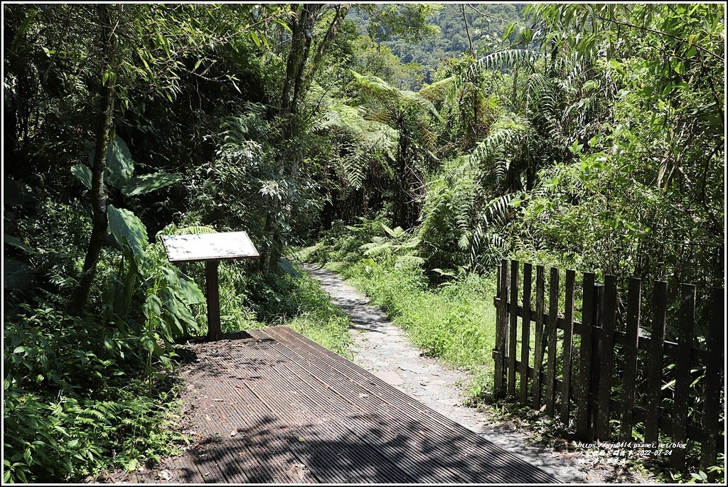 鳩之澤自然步道-2022-07-06.jpg 鳩之澤自然步道-2022-07-06.jpg