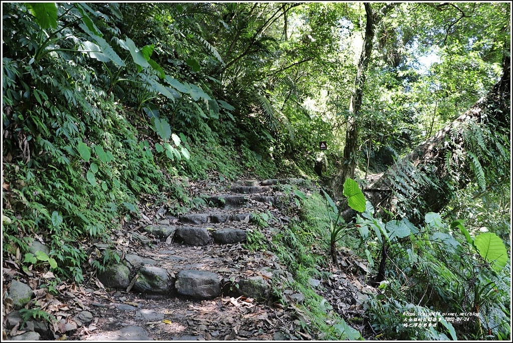 鳩之澤自然步道-2022-07-08.jpg 鳩之澤自然步道-2022-07-08.jpg