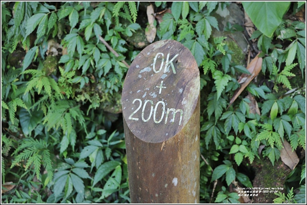 鳩之澤自然步道-2022-07-07.jpg 鳩之澤自然步道-2022-07-07.jpg