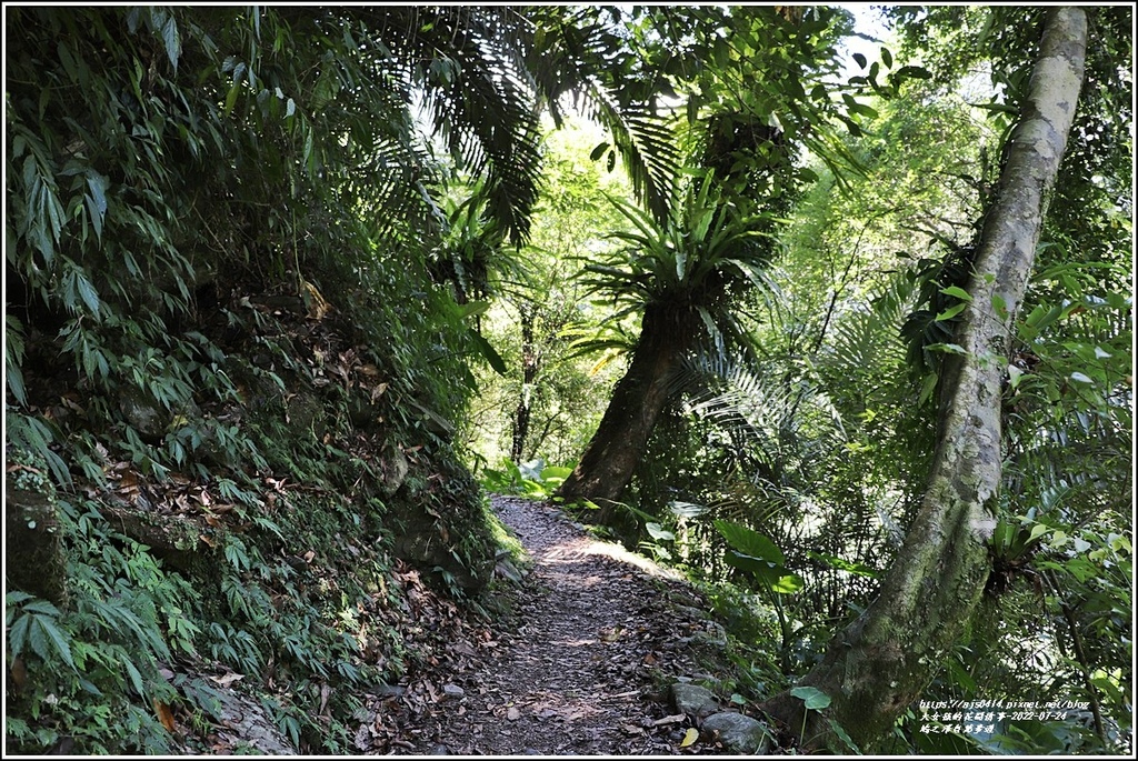 鳩之澤自然步道-2022-07-10.jpg 鳩之澤自然步道-2022-07-10.jpg