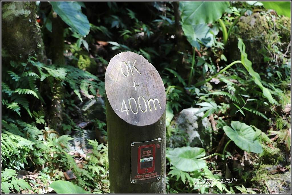 鳩之澤自然步道-2022-07-14.jpg 鳩之澤自然步道-2022-07-14.jpg