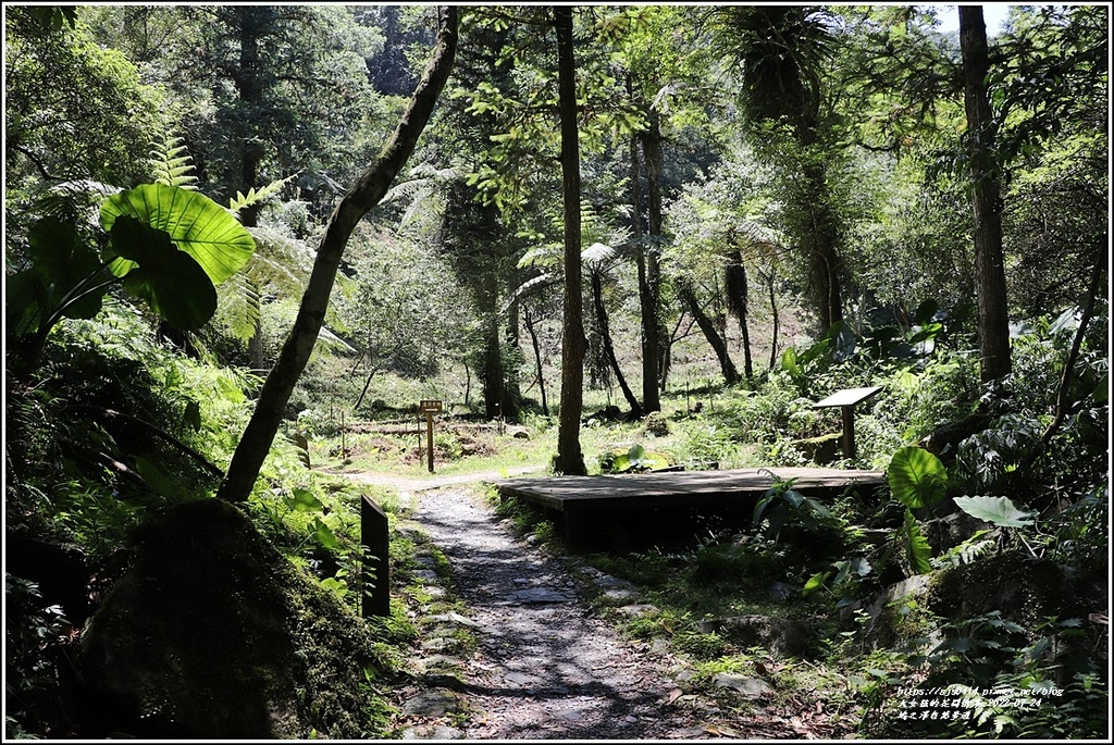 鳩之澤自然步道-2022-07-13.jpg 鳩之澤自然步道-2022-07-13.jpg