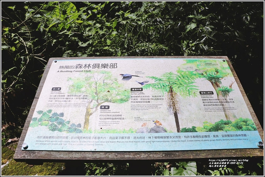 鳩之澤自然步道-2022-07-15.jpg 鳩之澤自然步道-2022-07-15.jpg