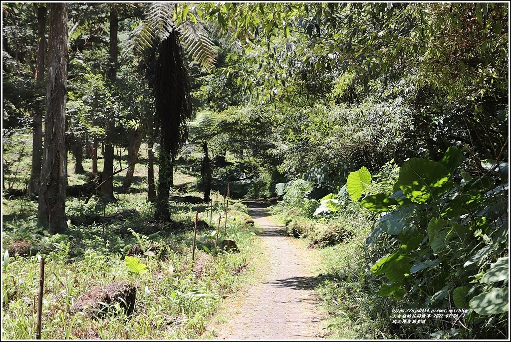鳩之澤自然步道-2022-07-17.jpg 鳩之澤自然步道-2022-07-17.jpg