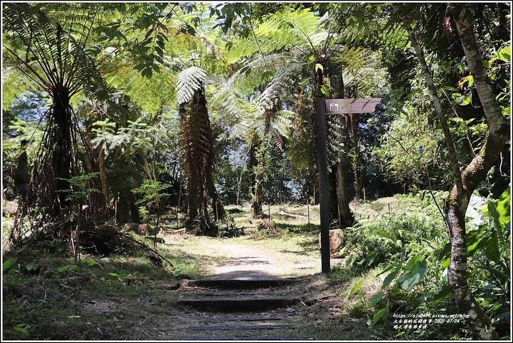 鳩之澤自然步道-2022-07-21.jpg 鳩之澤自然步道-2022-07-21.jpg