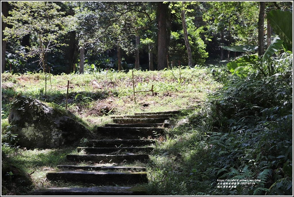 鳩之澤自然步道-2022-07-20.jpg 鳩之澤自然步道-2022-07-20.jpg