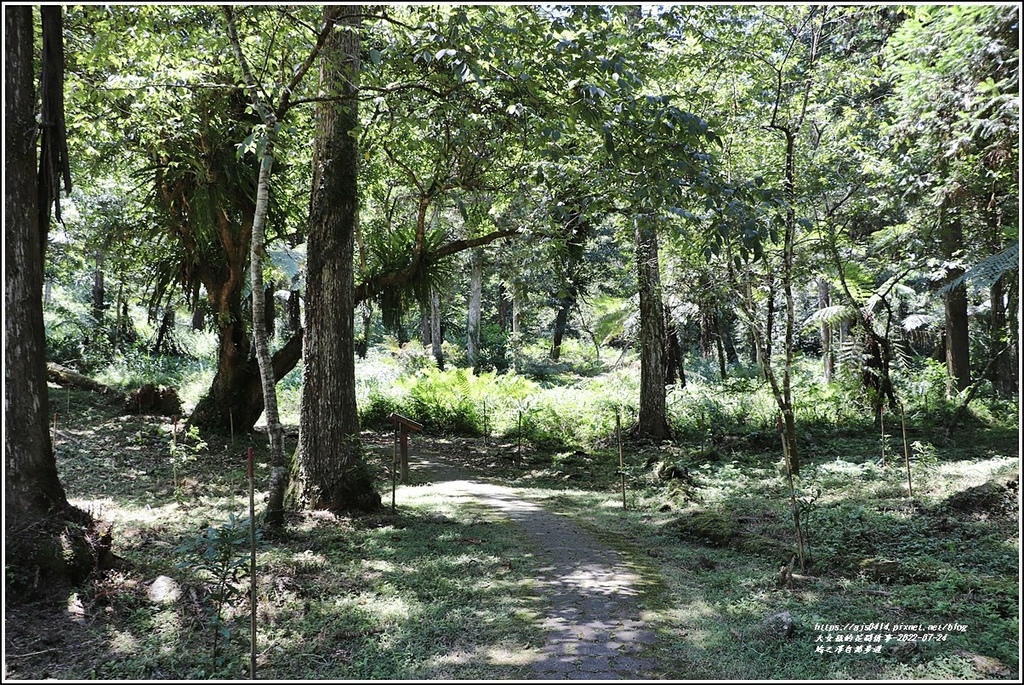 鳩之澤自然步道-2022-07-22.jpg