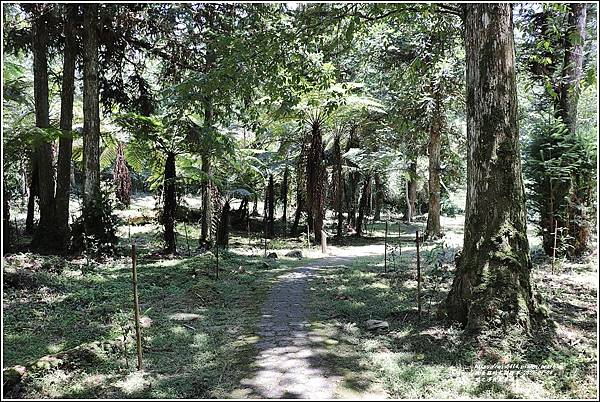 鳩之澤自然步道-2022-07-24.jpg