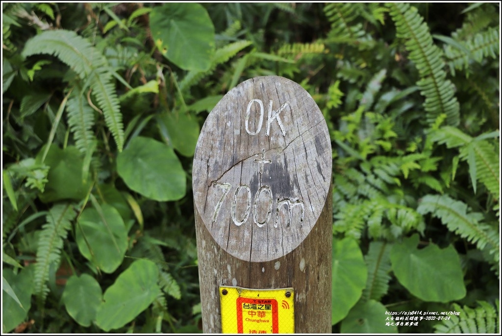 鳩之澤自然步道-2022-07-27.jpg 鳩之澤自然步道-2022-07-27.jpg