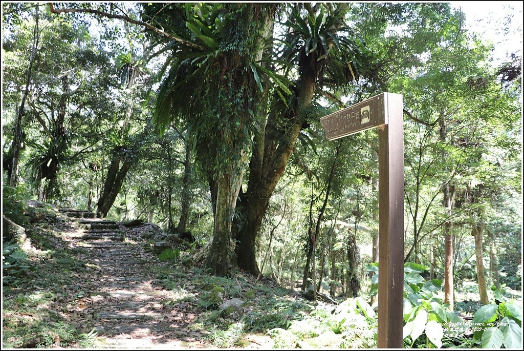 鳩之澤自然步道-2022-07-29.jpg 鳩之澤自然步道-2022-07-29.jpg