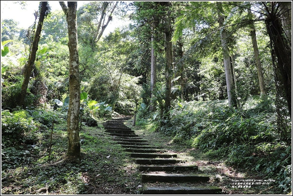 鳩之澤自然步道-2022-07-26.jpg 鳩之澤自然步道-2022-07-26.jpg