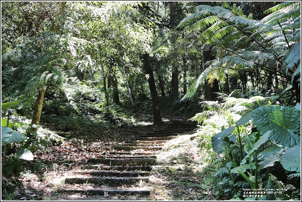 鳩之澤自然步道-2022-07-28.jpg 鳩之澤自然步道-2022-07-28.jpg
