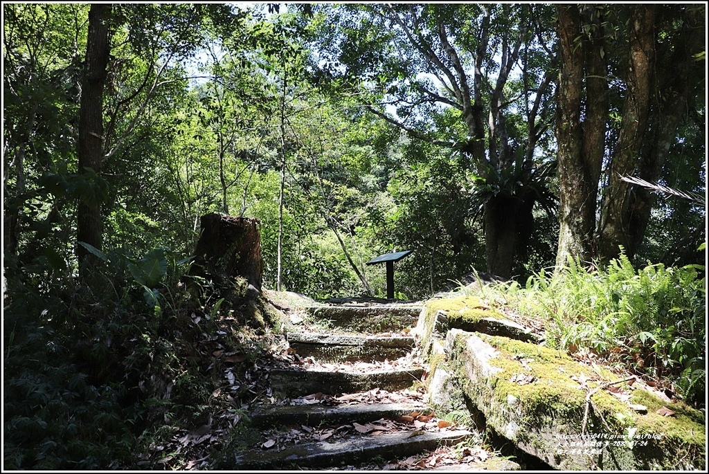 鳩之澤自然步道-2022-07-31.jpg 鳩之澤自然步道-2022-07-31.jpg