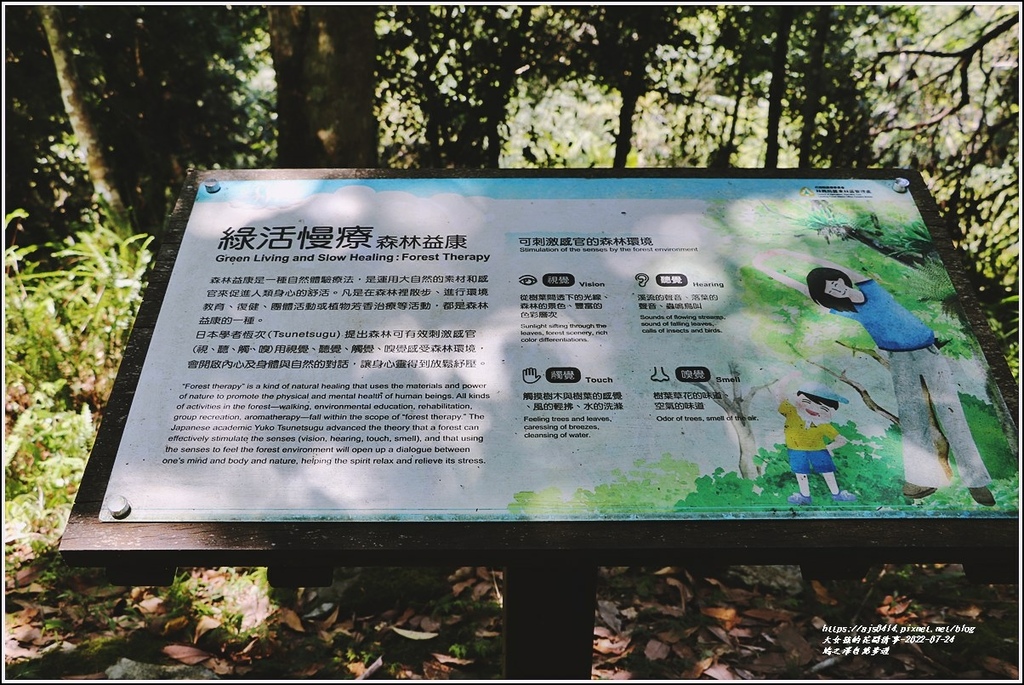 鳩之澤自然步道-2022-07-32.jpg 鳩之澤自然步道-2022-07-32.jpg