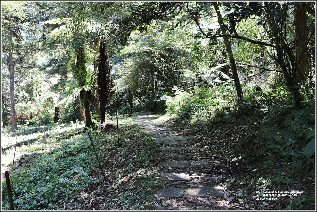 鳩之澤自然步道-2022-07-35.jpg 鳩之澤自然步道-2022-07-35.jpg